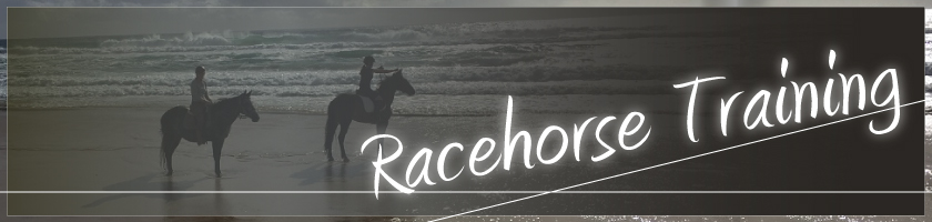Racehorse Training